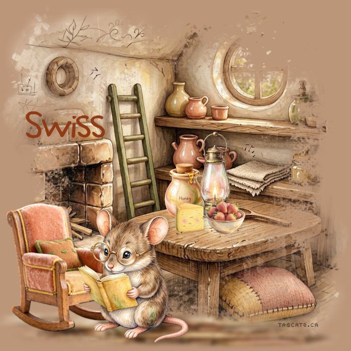 swisstag18