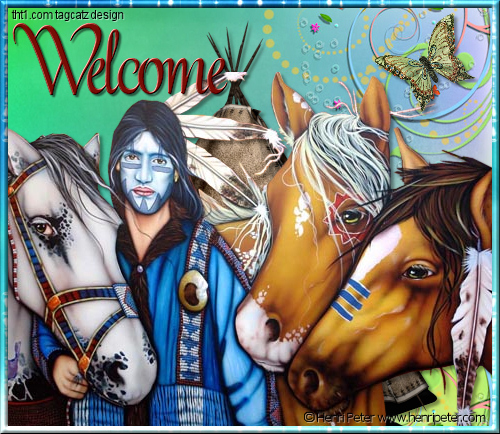 nativetc03