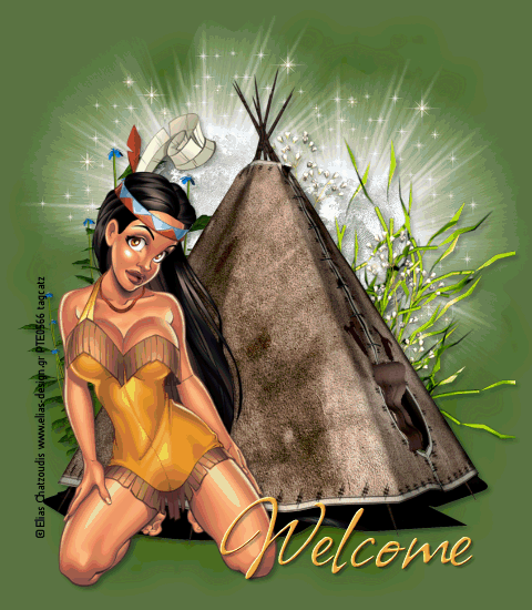 nativetc04