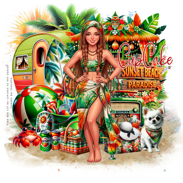 Sunset Beach Paradise