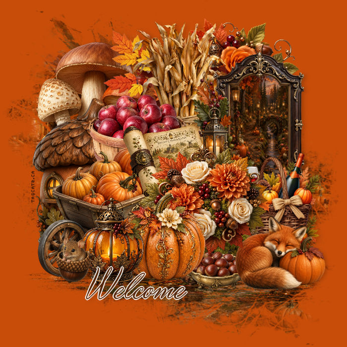 Seasons