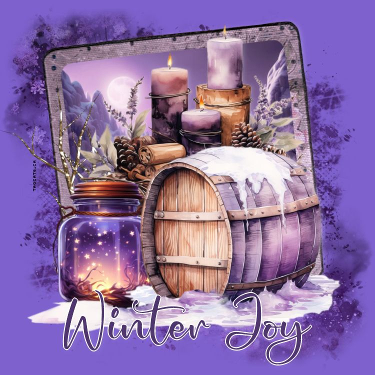 wintertag27