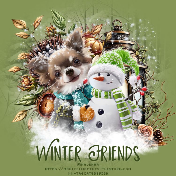 Seasons